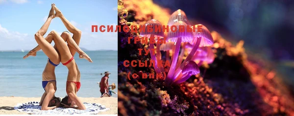 молекула духа Баксан