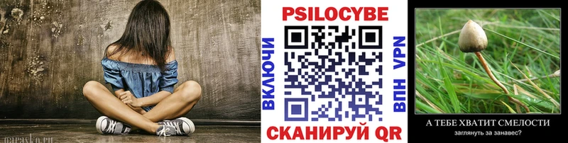 Псилоцибиновые грибы Psilocybine cubensis  сайты даркнета состав  Кондрово  гидра маркетплейс 